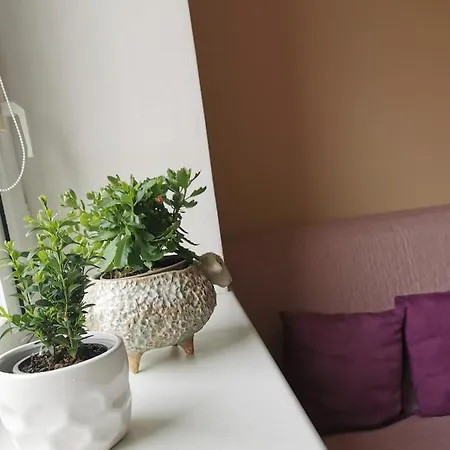 Karolina Apartamento Druskininkai