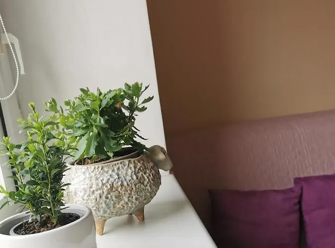 Karolina Apartament Druskieniki