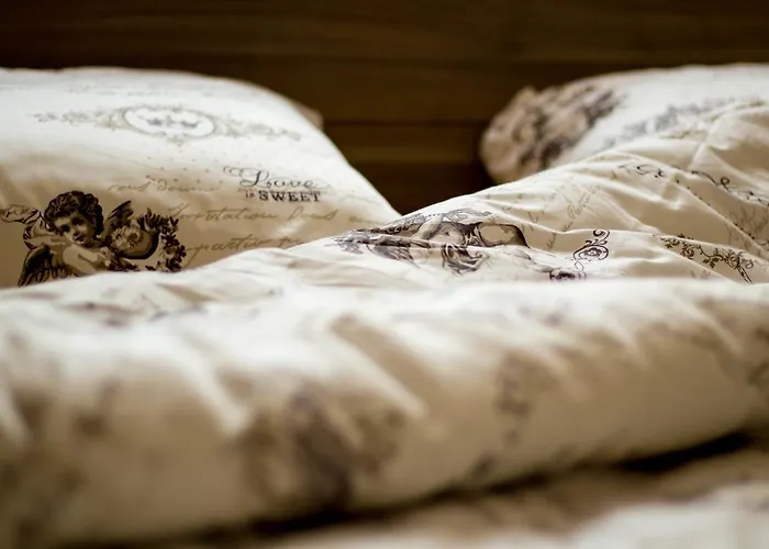 Karolina Druskieniki