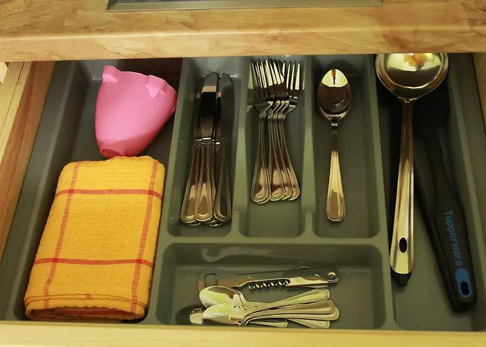 Karolina Druskieniki