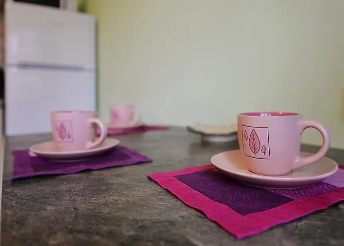 Karolina Druskieniki